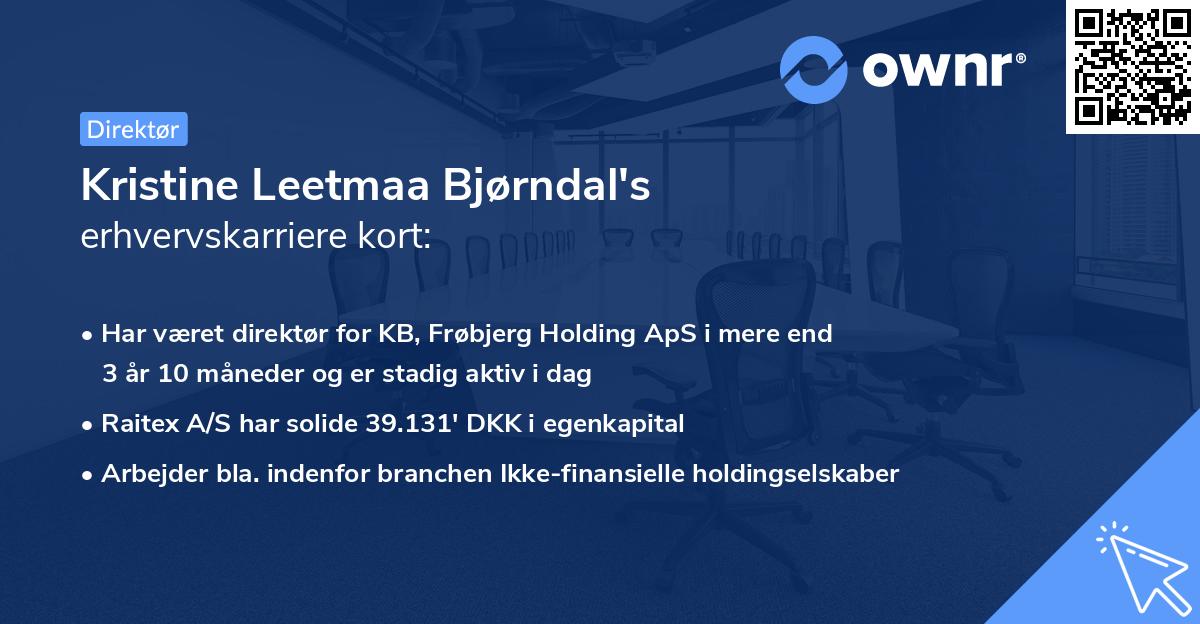 Kristine Leetmaa Bjørndal's erhvervskarriere kort
