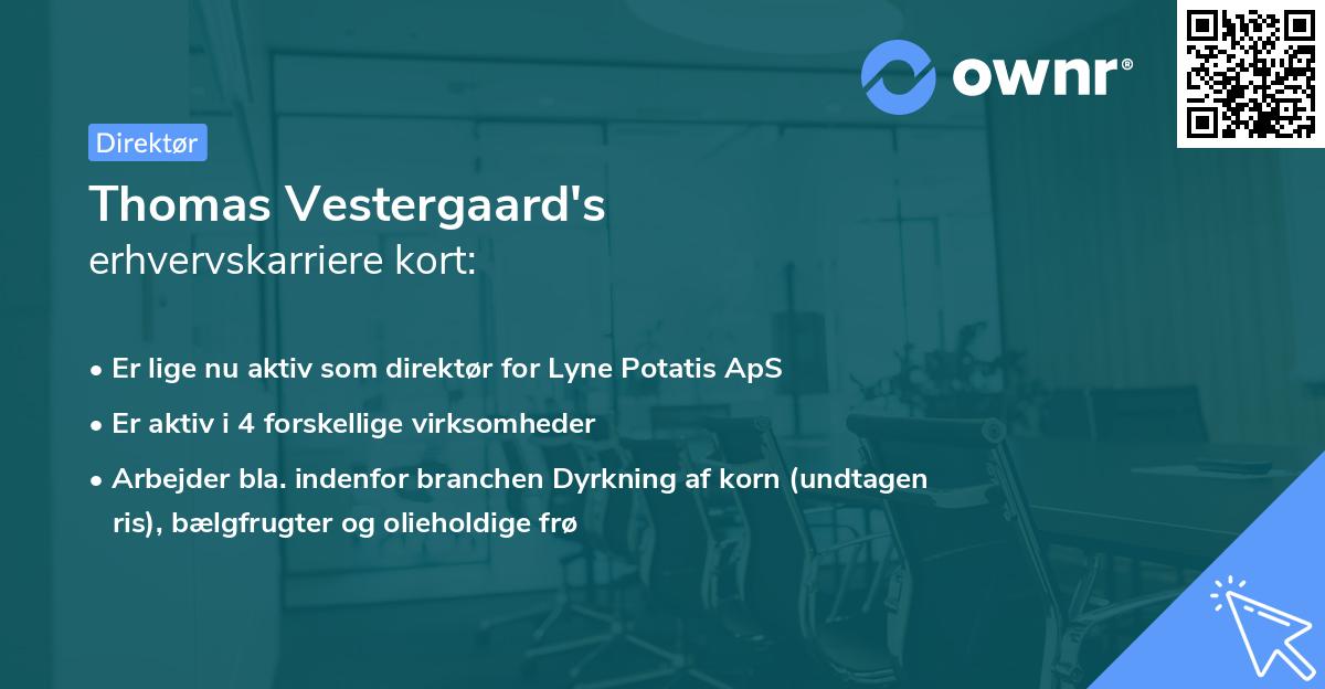 Thomas Vestergaard's erhvervskarriere kort