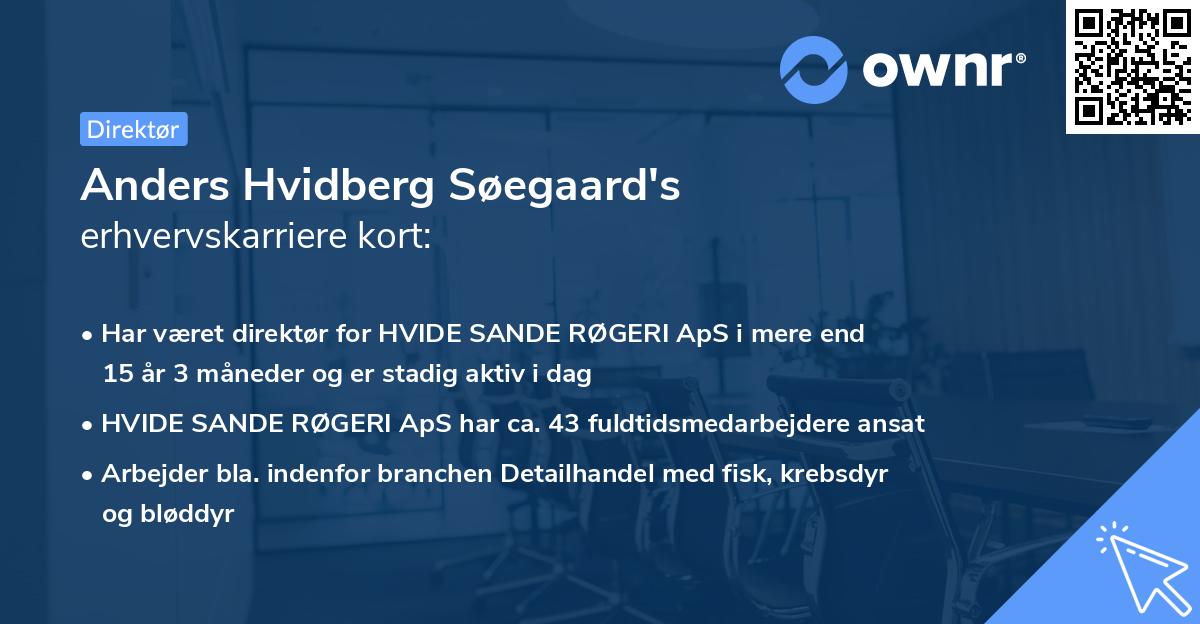 Anders Hvidberg Søegaard's erhvervskarriere kort