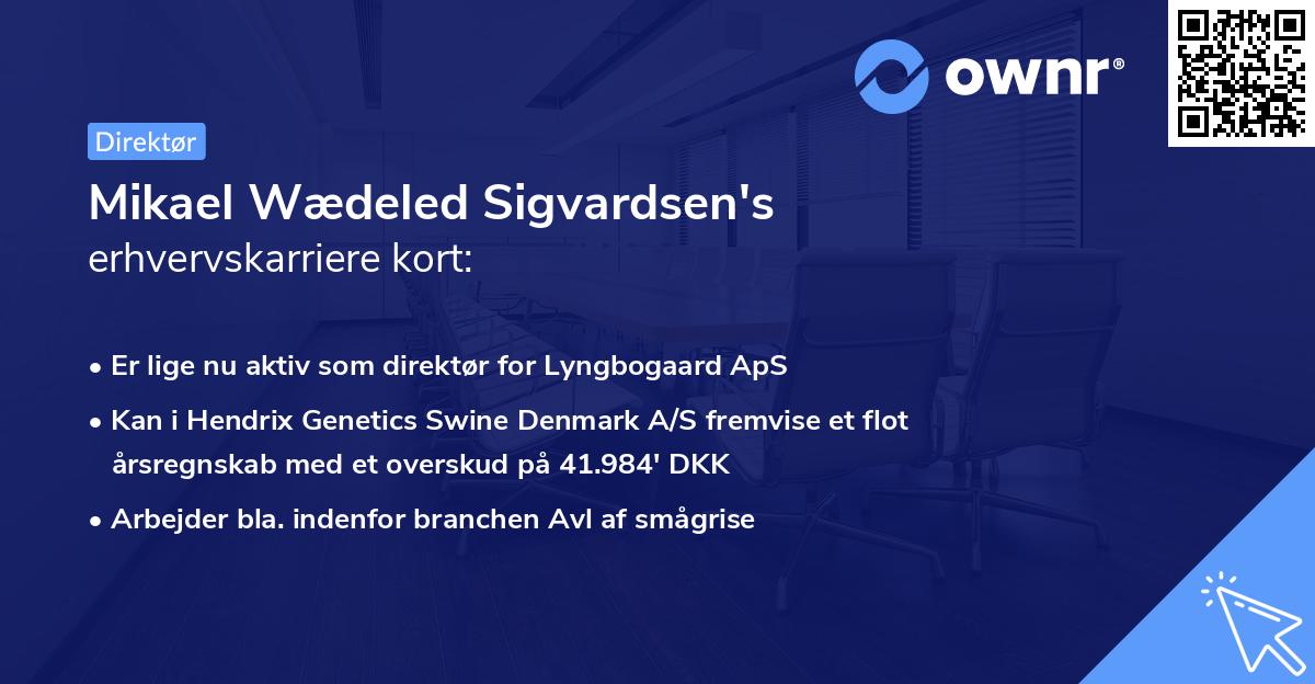 Mikael Wædeled Sigvardsen's erhvervskarriere kort