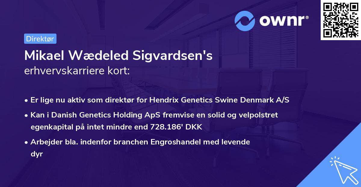 Mikael Wædeled Sigvardsen's erhvervskarriere kort
