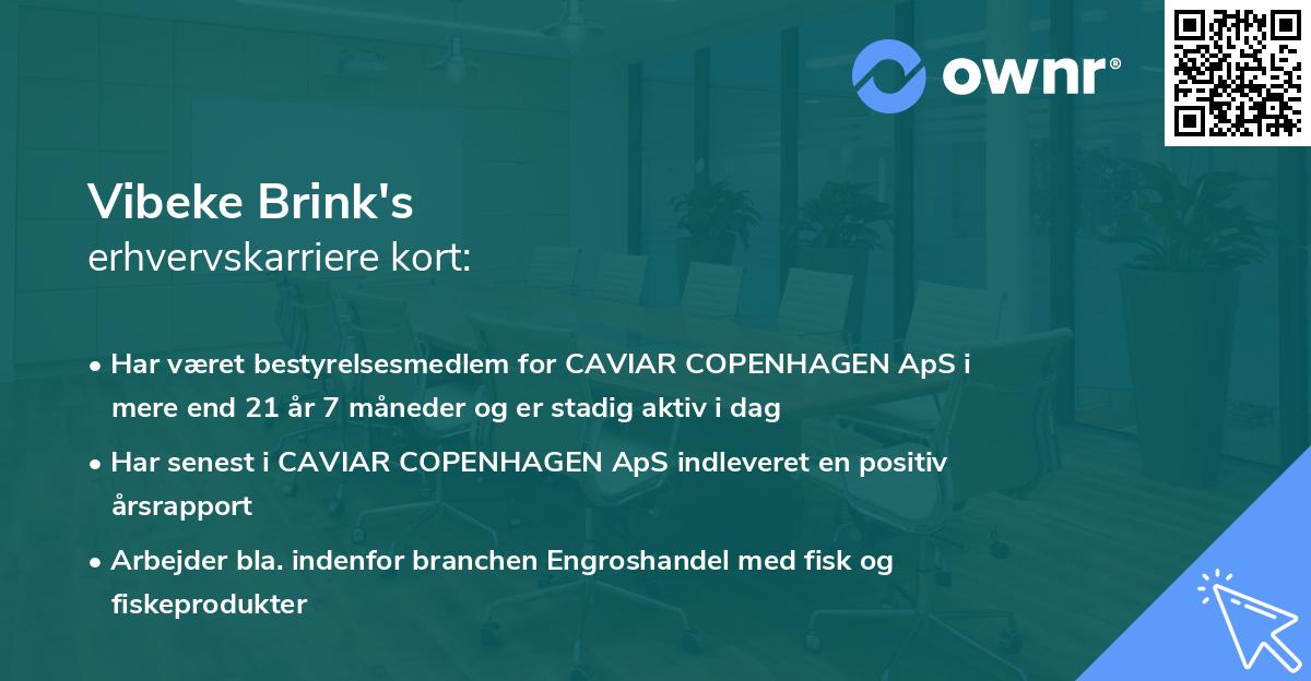 Vibeke Brink's erhvervskarriere kort