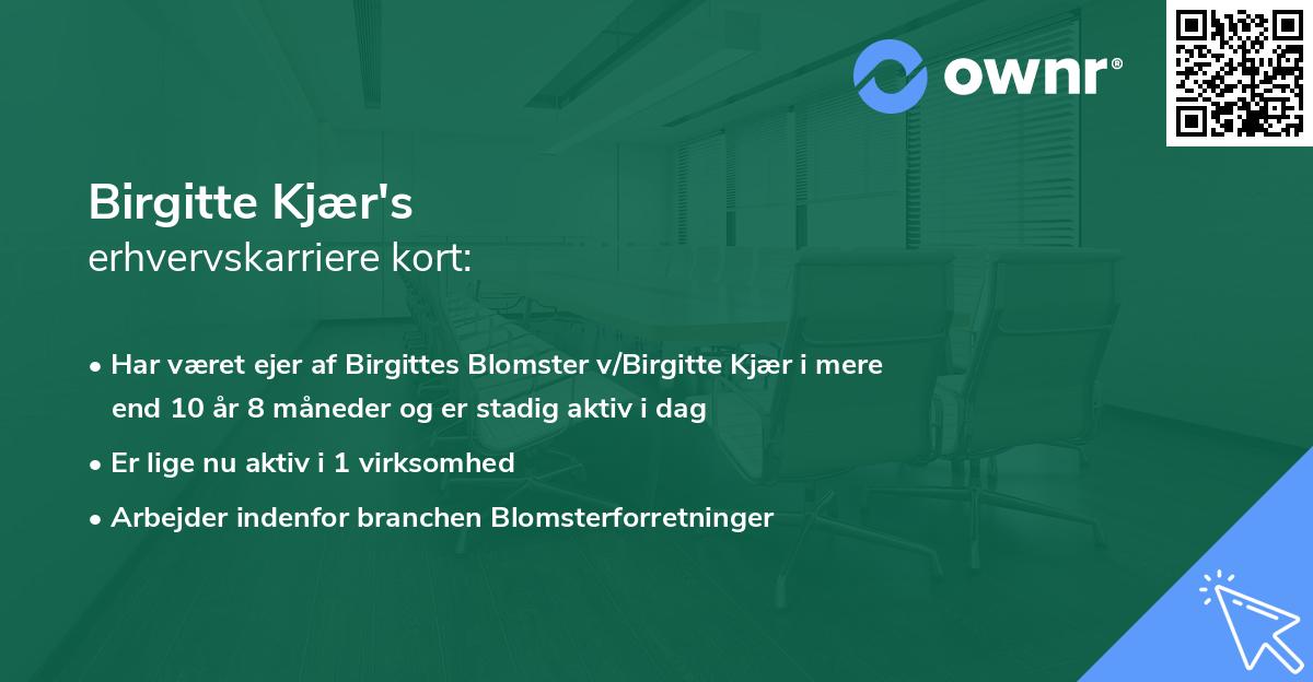 Birgitte Kjær's erhvervskarriere kort
