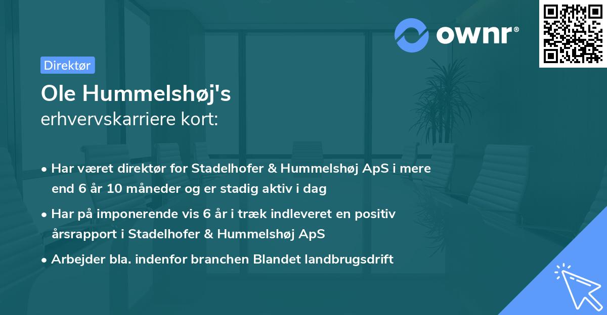 Ole Hummelshøj's erhvervskarriere kort