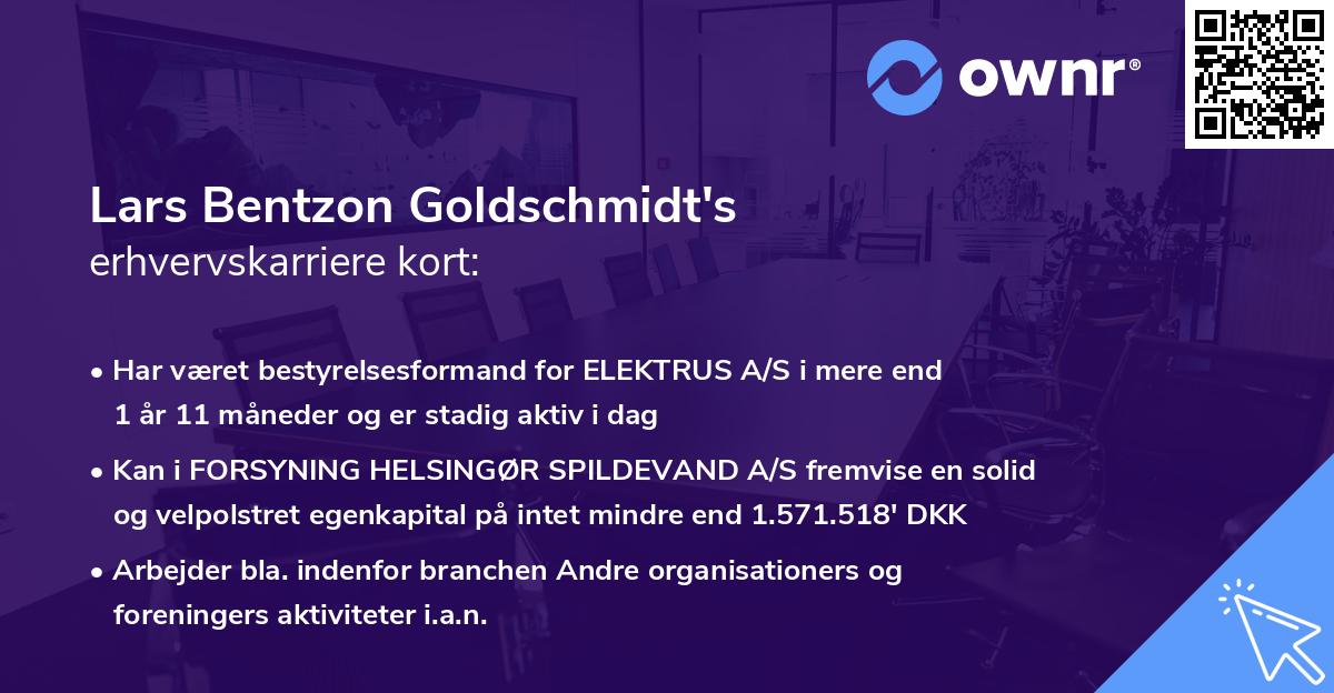 Lars Bentzon Goldschmidt's erhvervskarriere kort