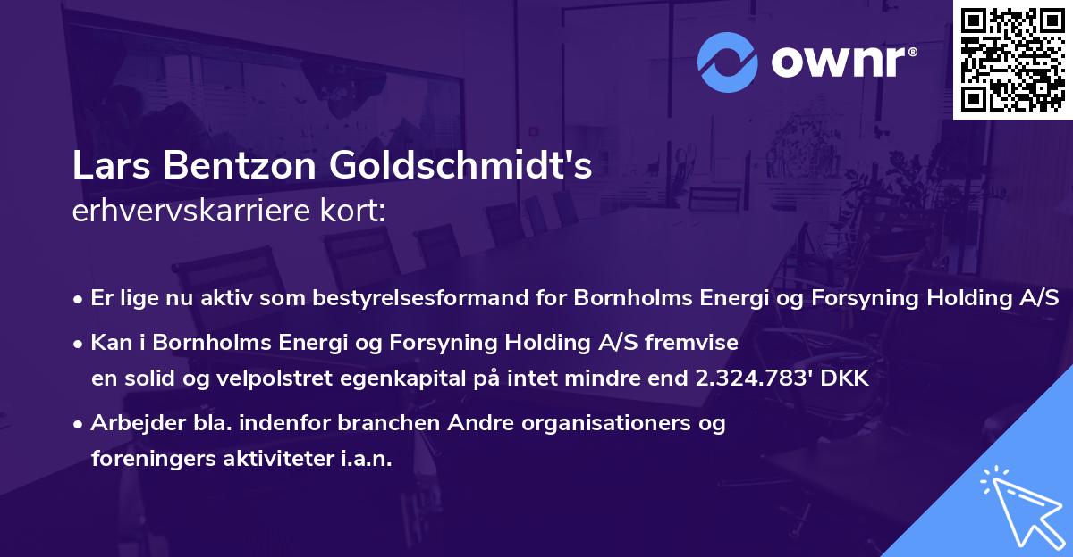 Lars Bentzon Goldschmidt's erhvervskarriere kort