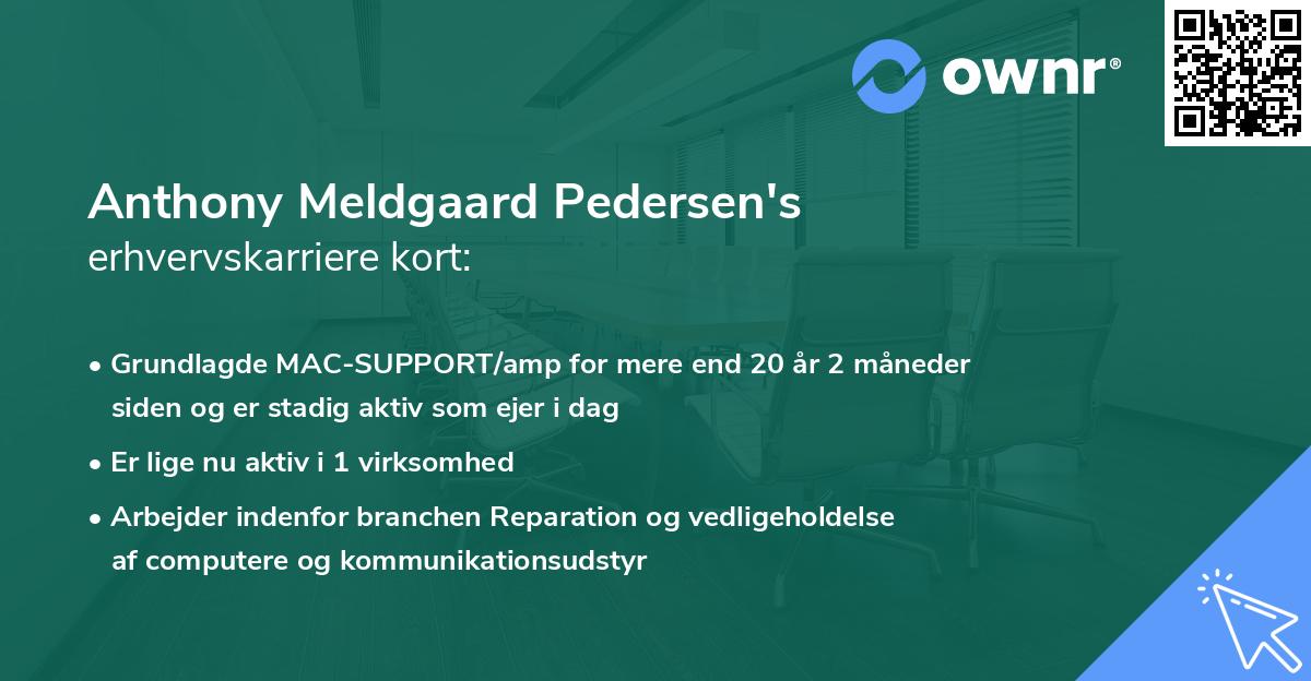 Anthony Meldgaard Pedersen's erhvervskarriere kort