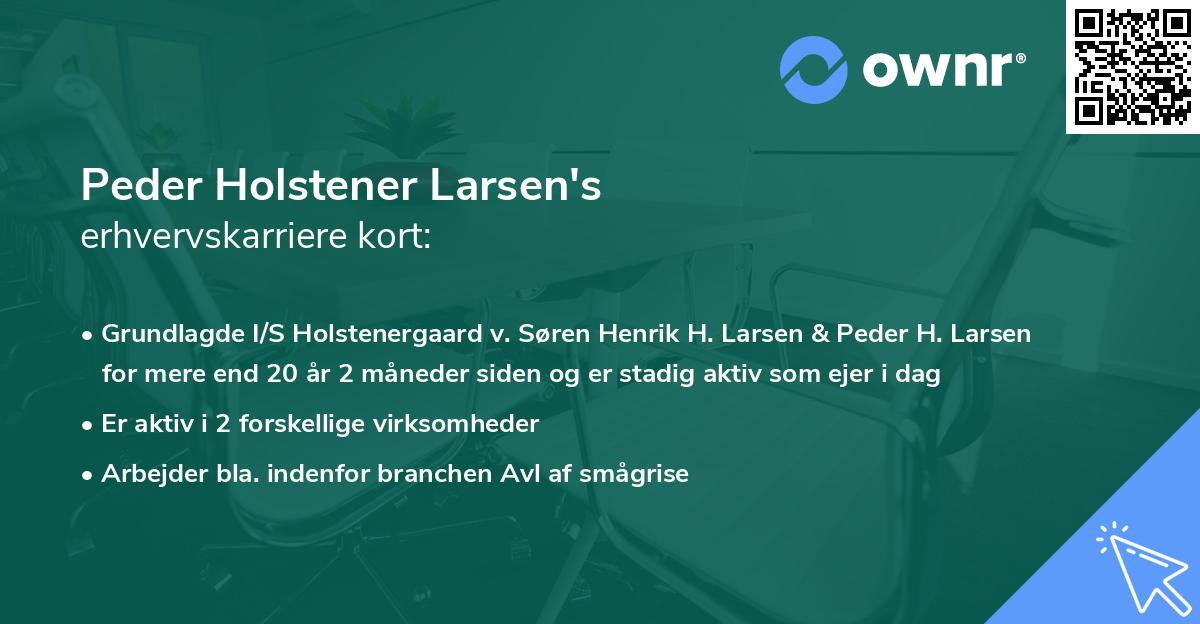 Peder Holstener Larsen's erhvervskarriere kort
