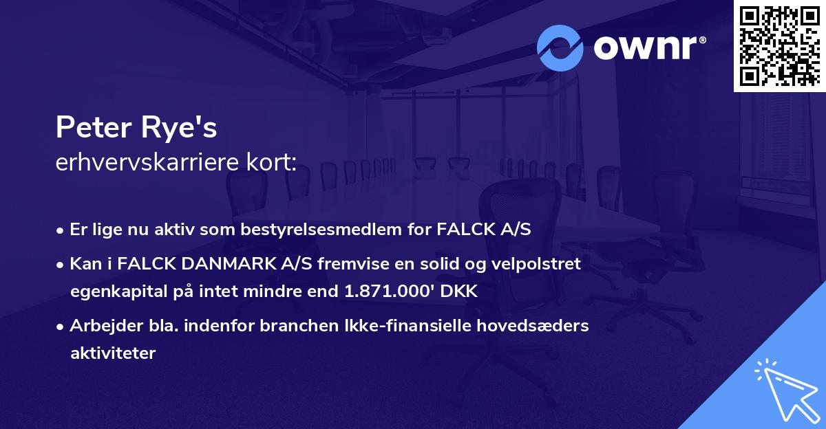 Peter Rye's erhvervskarriere kort
