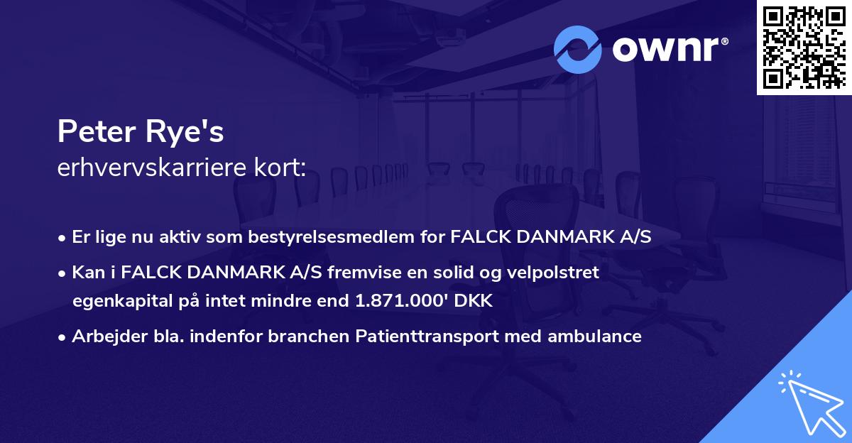 Peter Rye's erhvervskarriere kort