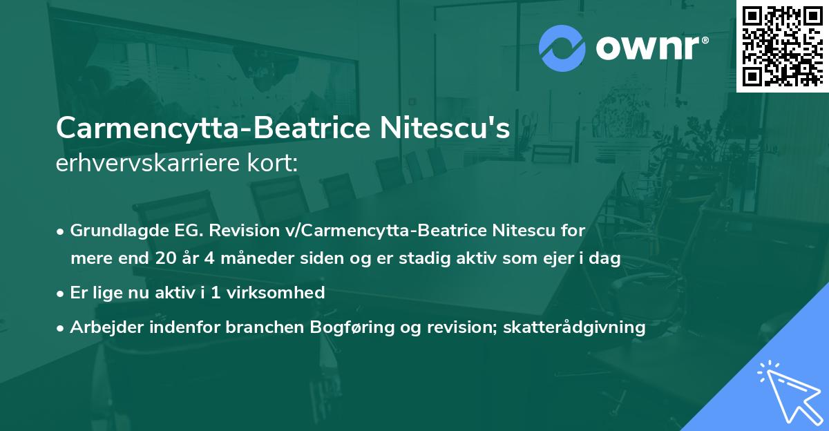 Carmencytta-Beatrice Nitescu's erhvervskarriere kort