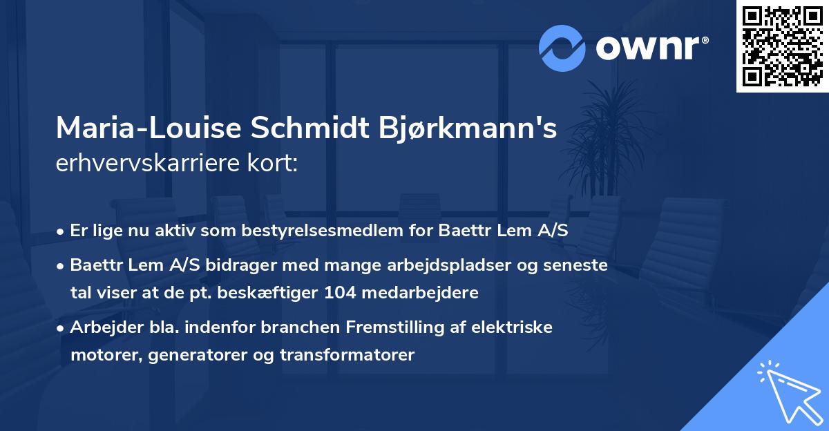 Maria-Louise Schmidt Bjørkmann's erhvervskarriere kort