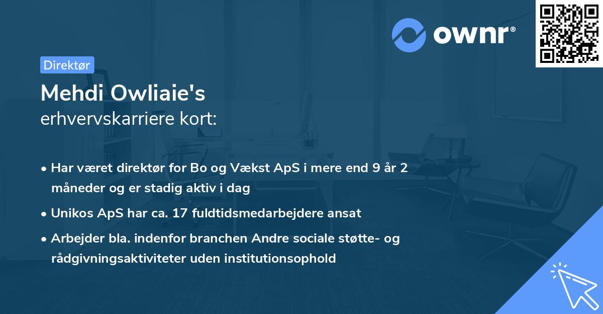 Mehdi Owliaie's erhvervskarriere kort