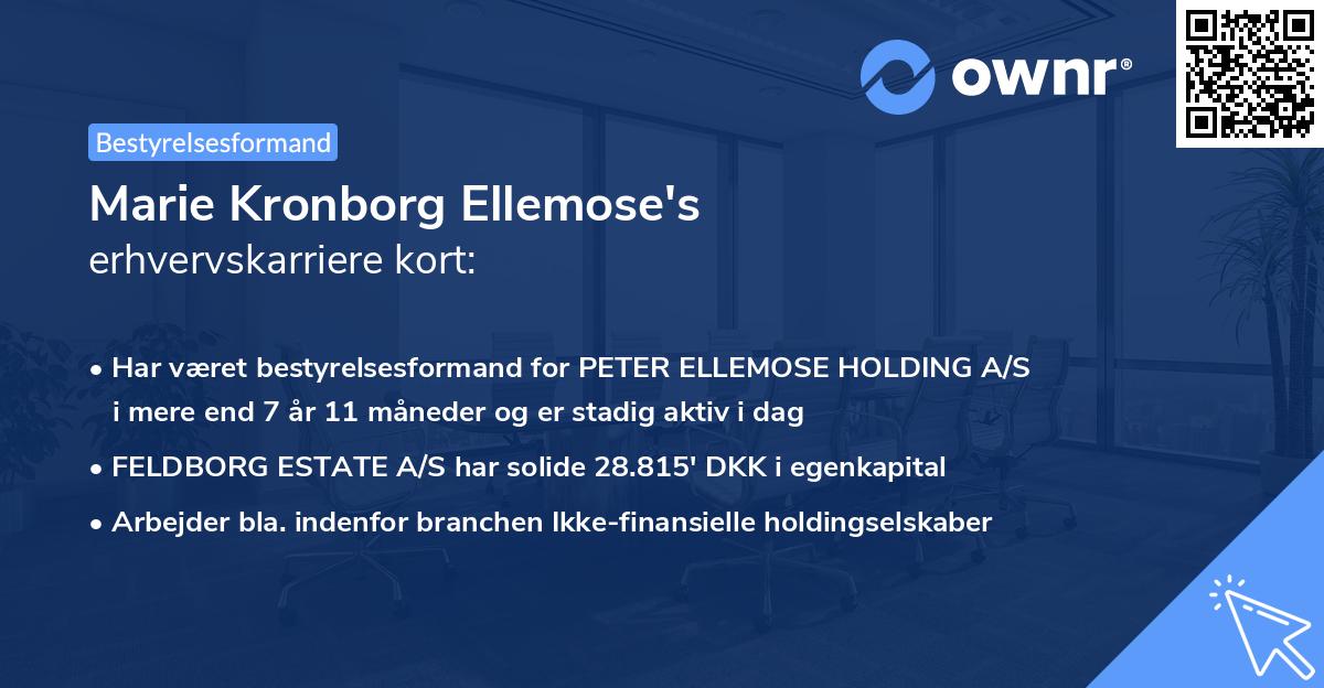 Marie Kronborg Ellemose's erhvervskarriere kort