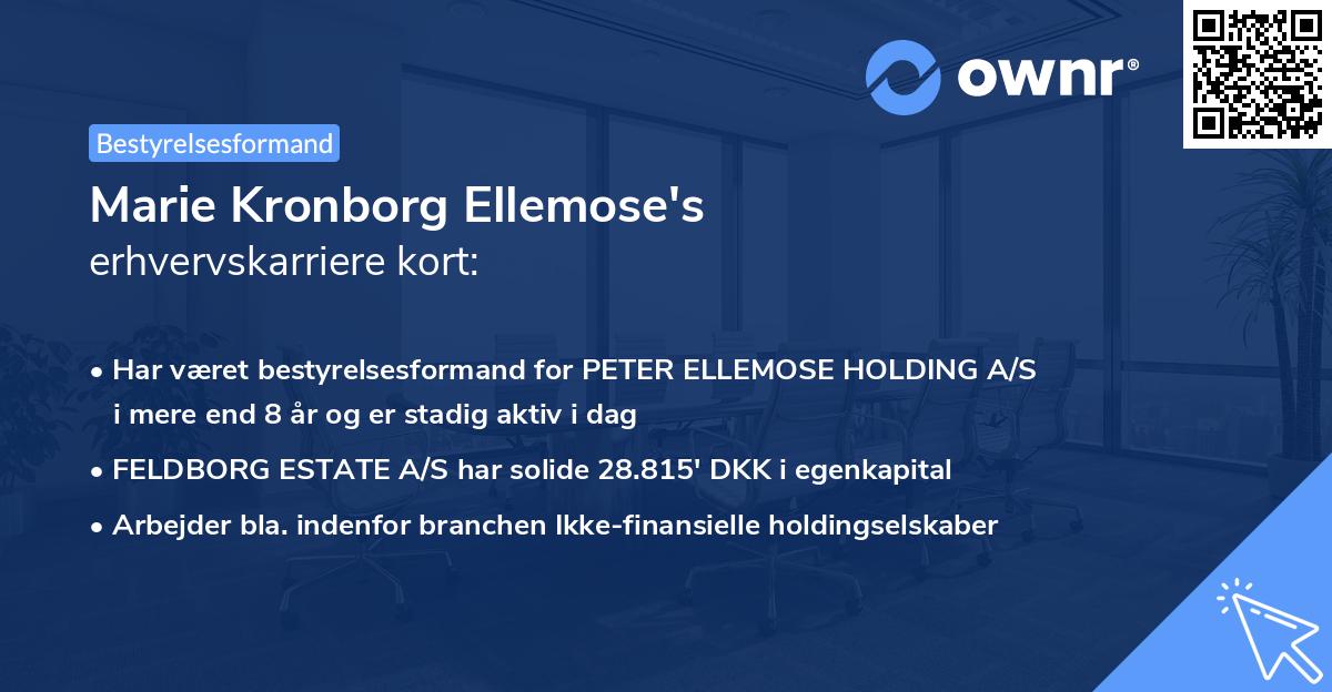 Marie Kronborg Ellemose's erhvervskarriere kort