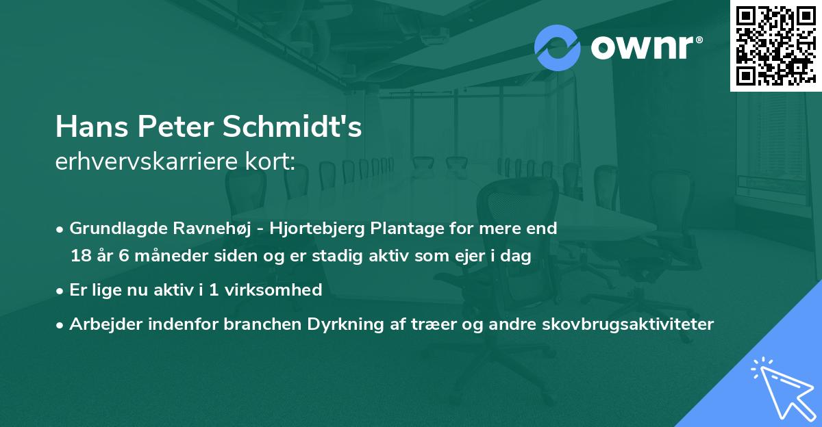 Hans Peter Schmidt's erhvervskarriere kort