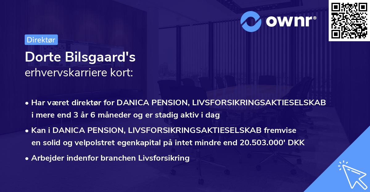 Dorte Bilsgaard's erhvervskarriere kort