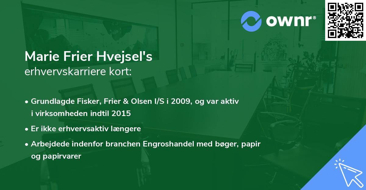 Marie Frier Hvejsel's erhvervskarriere kort