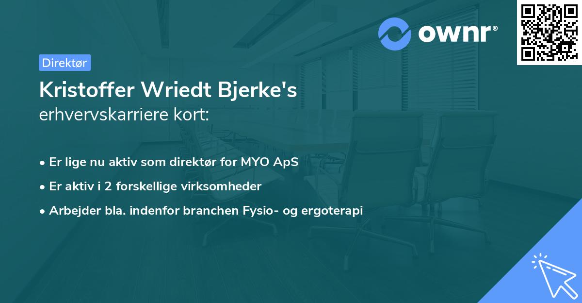 Kristoffer Wriedt Bjerke's erhvervskarriere kort