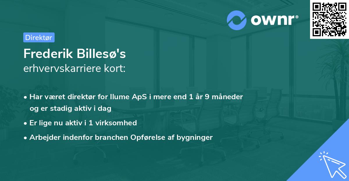 Frederik Billesø's erhvervskarriere kort