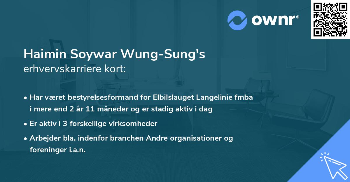 Haimin Soywar Wung-Sung's erhvervskarriere kort