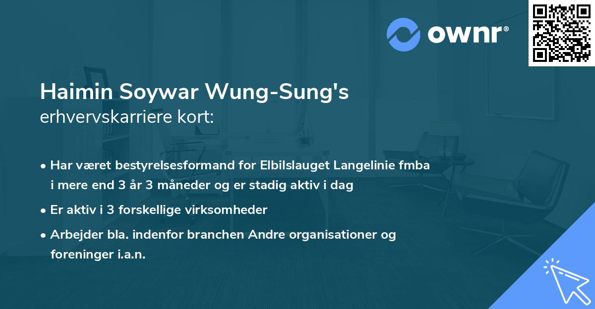 Haimin Soywar Wung-Sung's erhvervskarriere kort