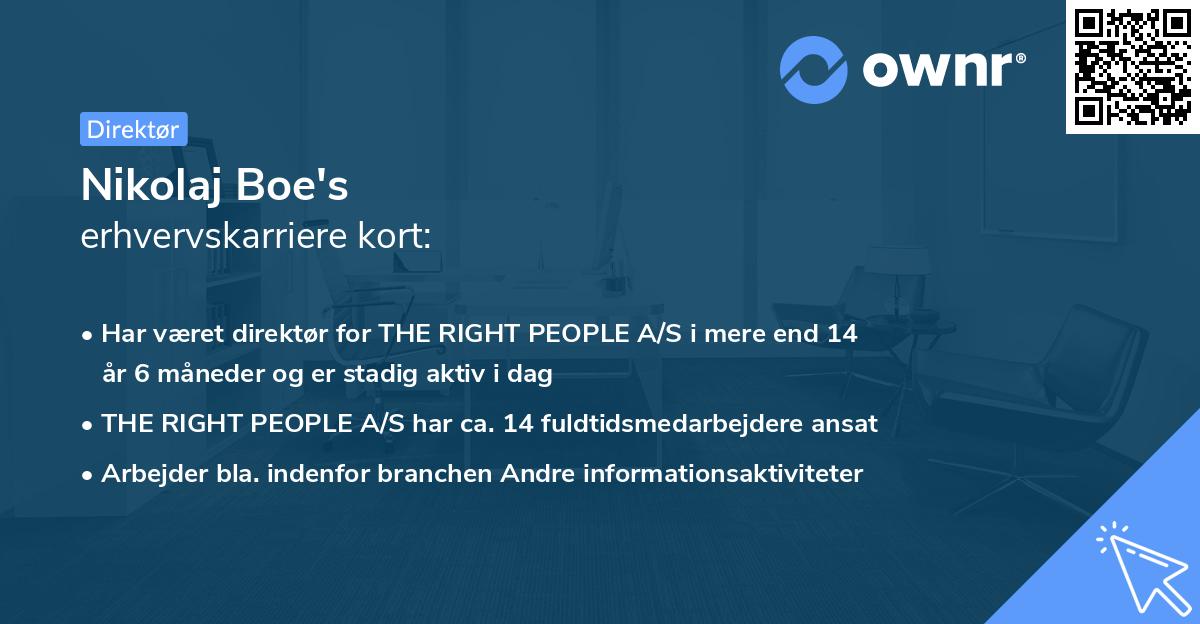 Nikolaj Boe's erhvervskarriere kort