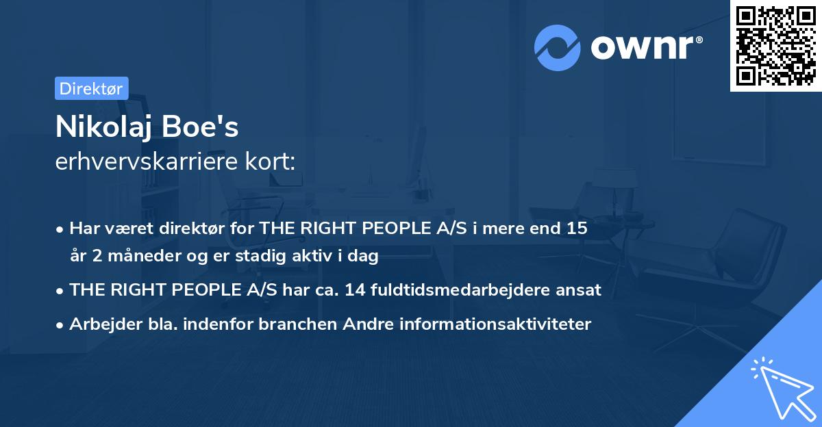 Nikolaj Boe's erhvervskarriere kort