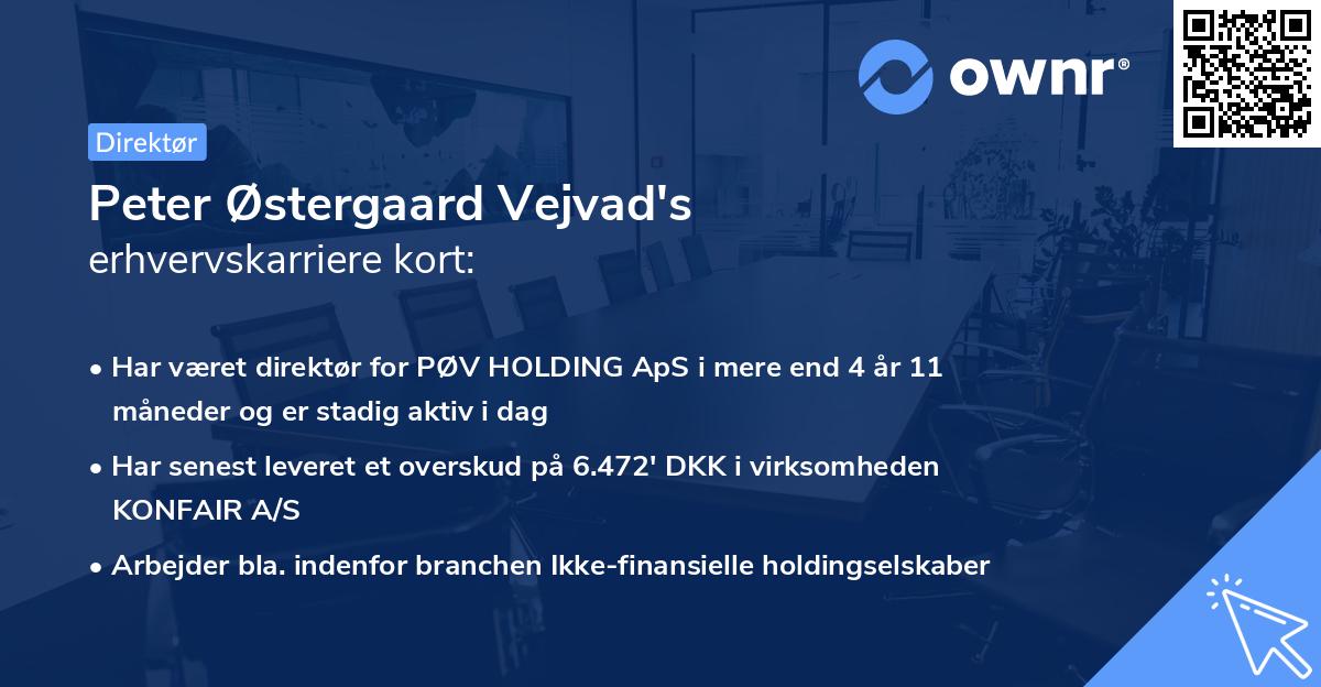 Peter Østergaard Vejvad's erhvervskarriere kort