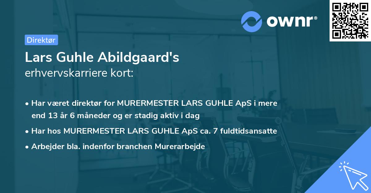 Lars Guhle Abildgaard's erhvervskarriere kort