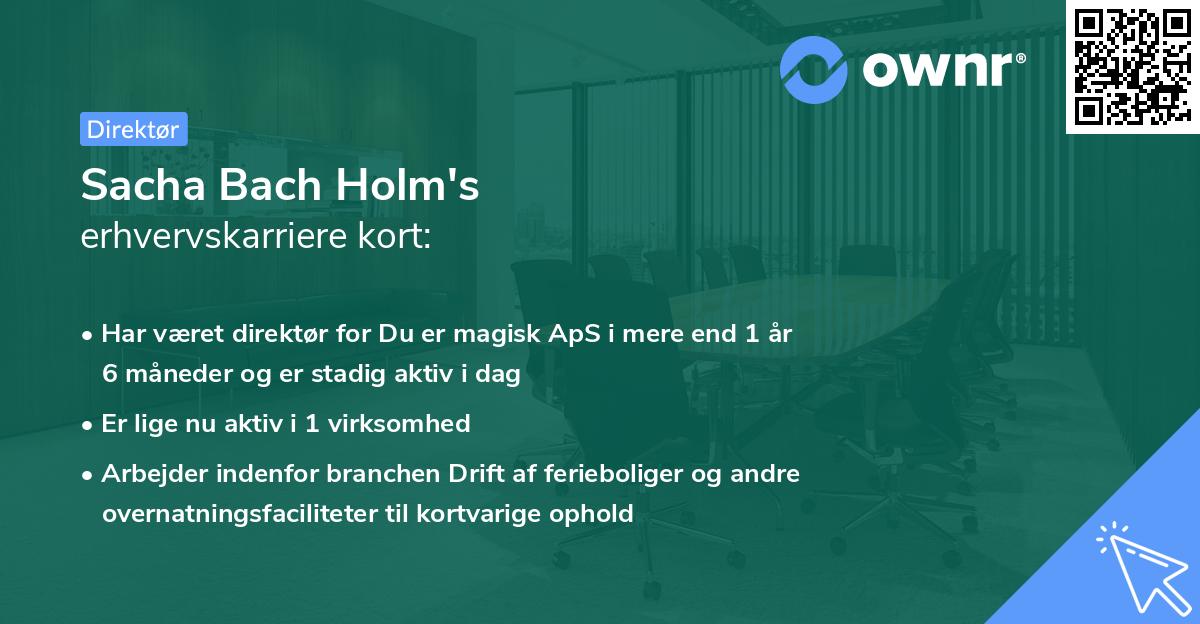Sacha Bach Holm's erhvervskarriere kort