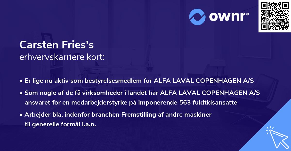 Carsten Fries's erhvervskarriere kort
