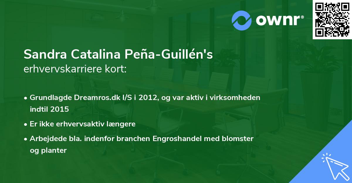 Sandra Catalina Peña-Guillén's erhvervskarriere kort