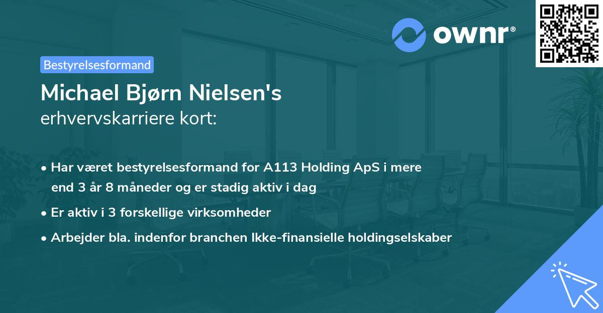 Michael Bjørn Nielsen's erhvervskarriere kort