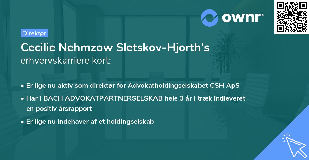 Cecilie Nehmzow Sletskov-Hjorth's erhvervskarriere kort