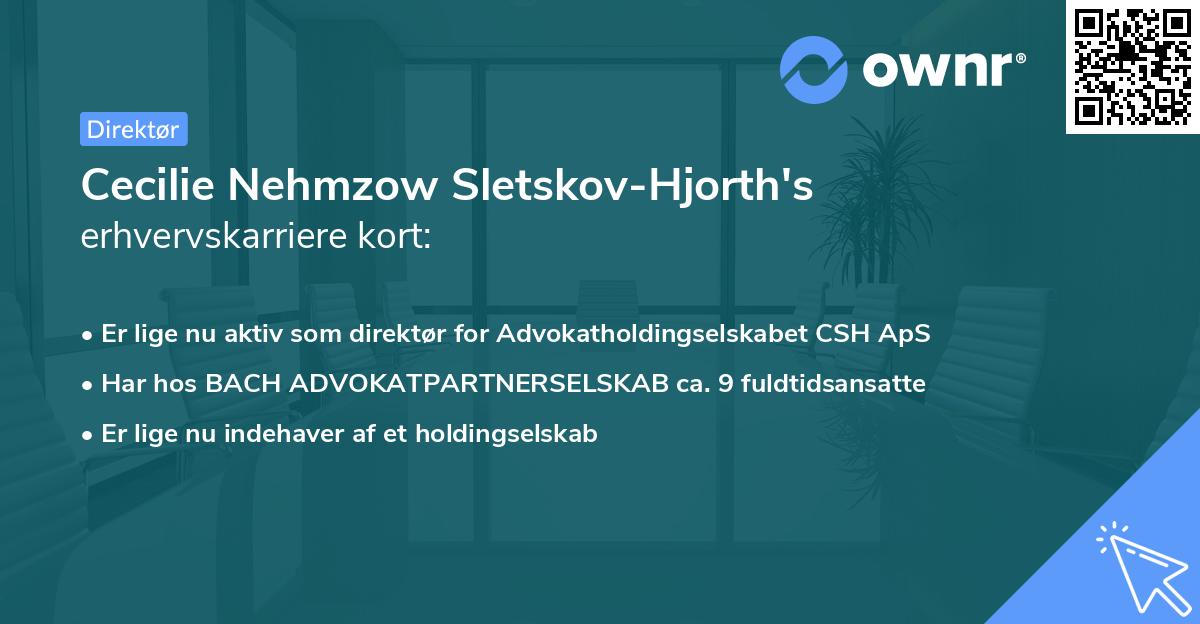 Cecilie Nehmzow Sletskov-Hjorth's erhvervskarriere kort