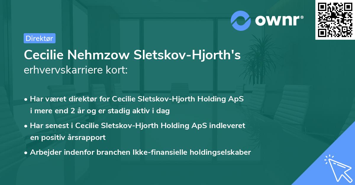 Cecilie Nehmzow Sletskov-Hjorth's erhvervskarriere kort