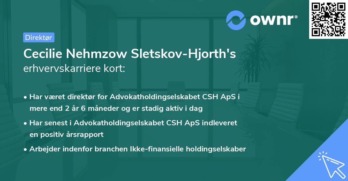 Cecilie Nehmzow Sletskov-Hjorth's erhvervskarriere kort