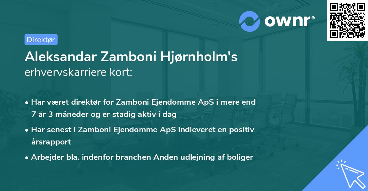 Aleksandar Zamboni Hjørnholm's erhvervskarriere kort