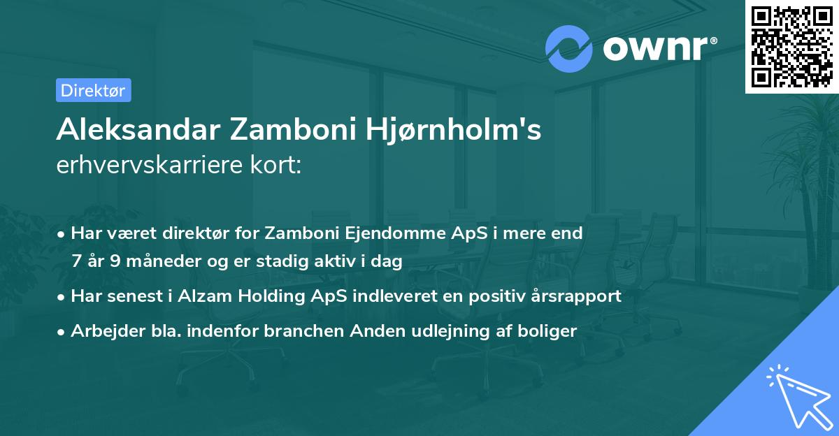Aleksandar Zamboni Hjørnholm's erhvervskarriere kort