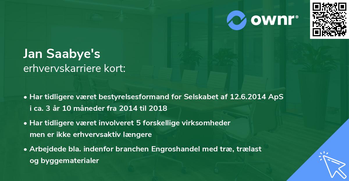 Jan Saabye's erhvervskarriere kort