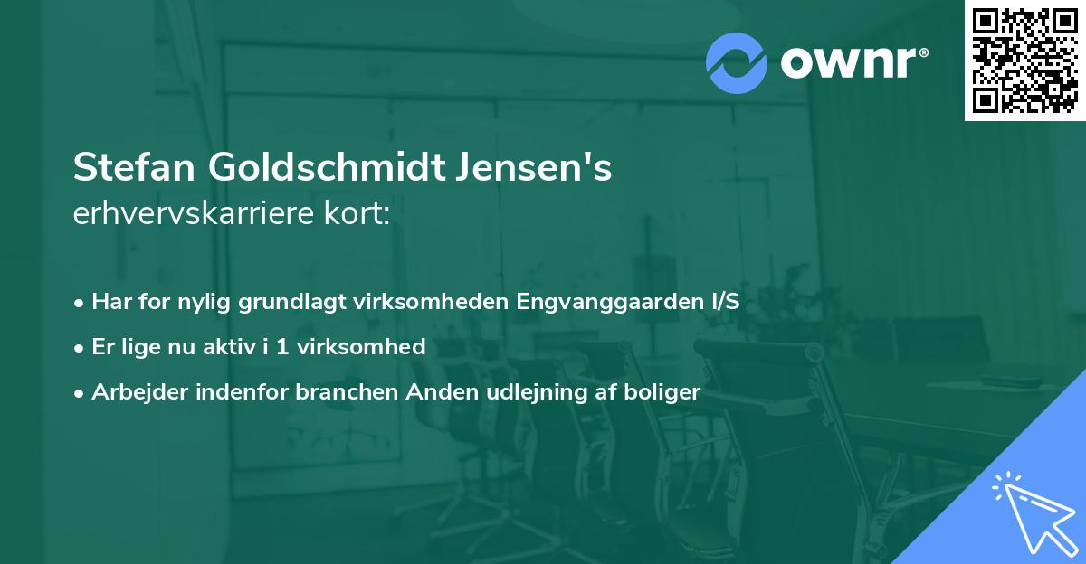 Stefan Goldschmidt Jensen's erhvervskarriere kort