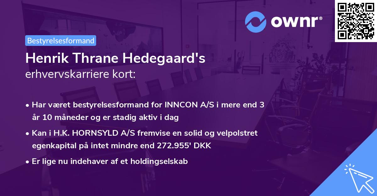 Henrik Thrane Hedegaard's erhvervskarriere kort