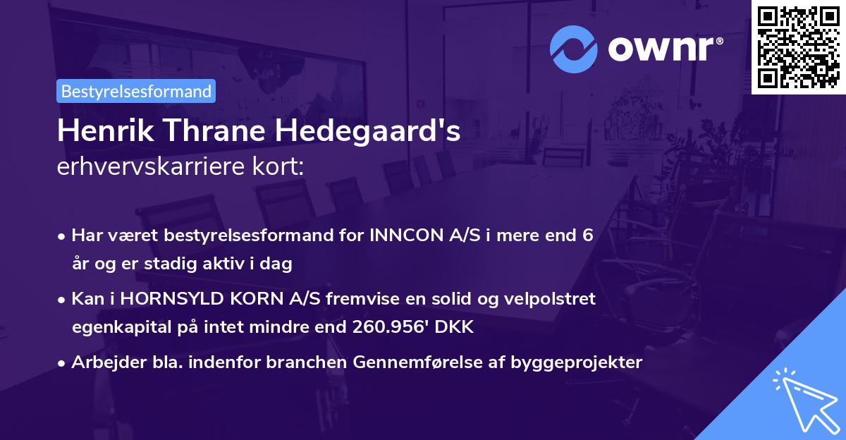 Henrik Thrane Hedegaard's erhvervskarriere kort
