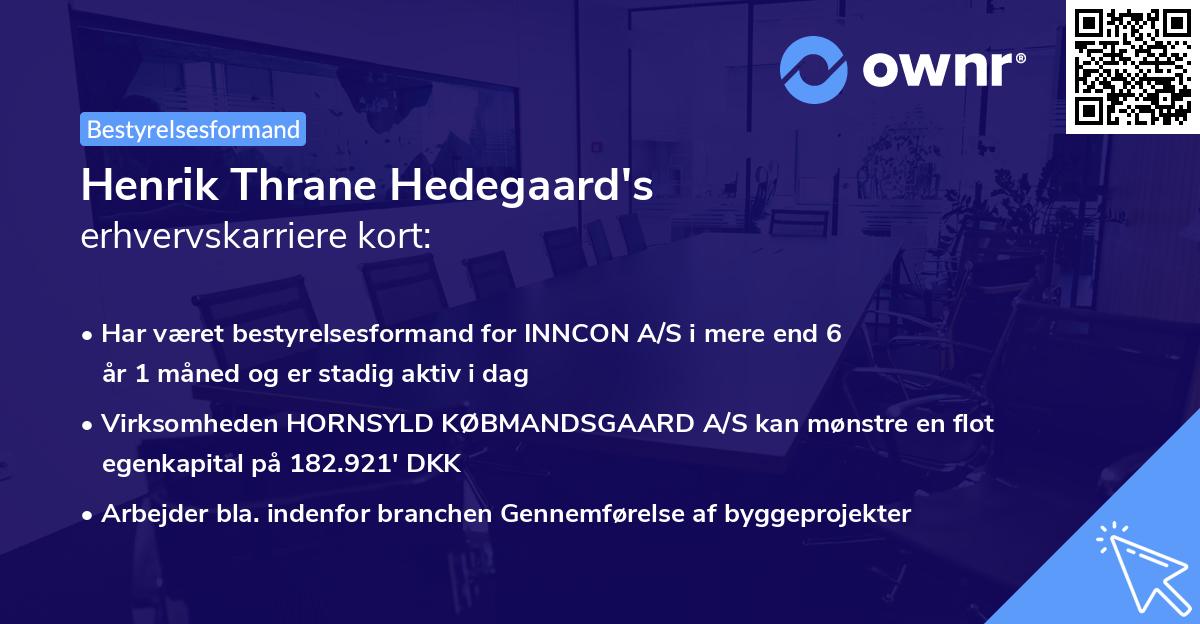 Henrik Thrane Hedegaard's erhvervskarriere kort