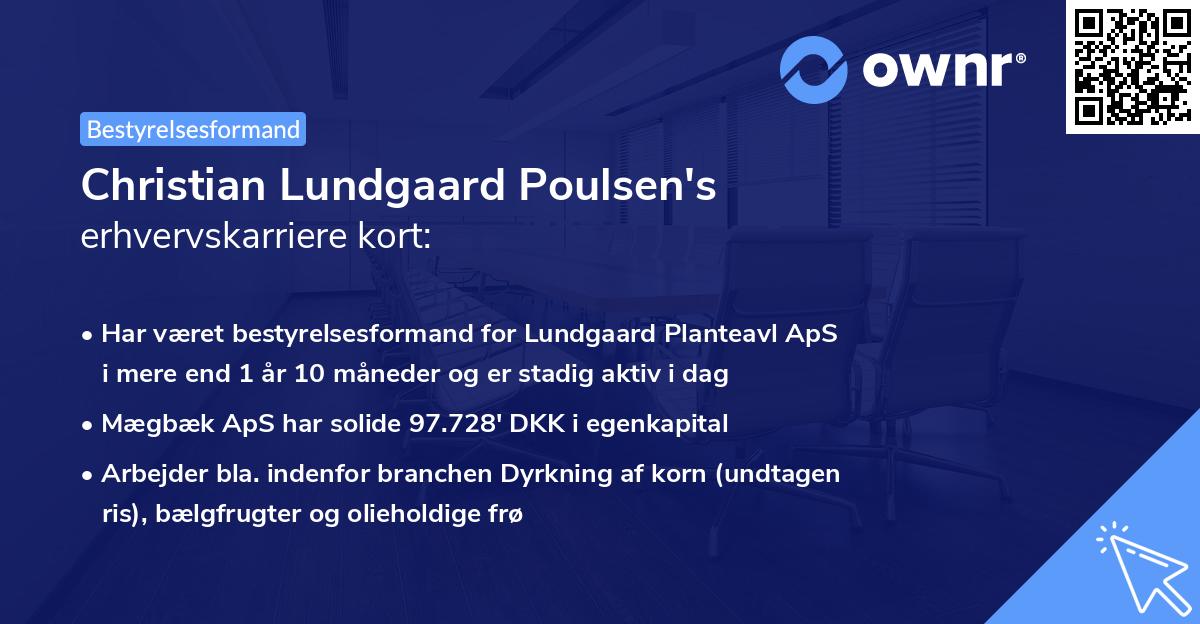 Christian Lundgaard Poulsen's erhvervskarriere kort