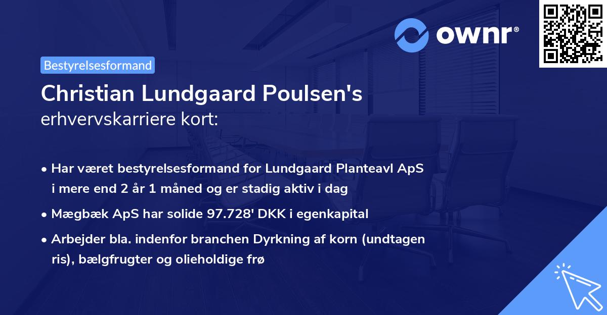 Christian Lundgaard Poulsen's erhvervskarriere kort