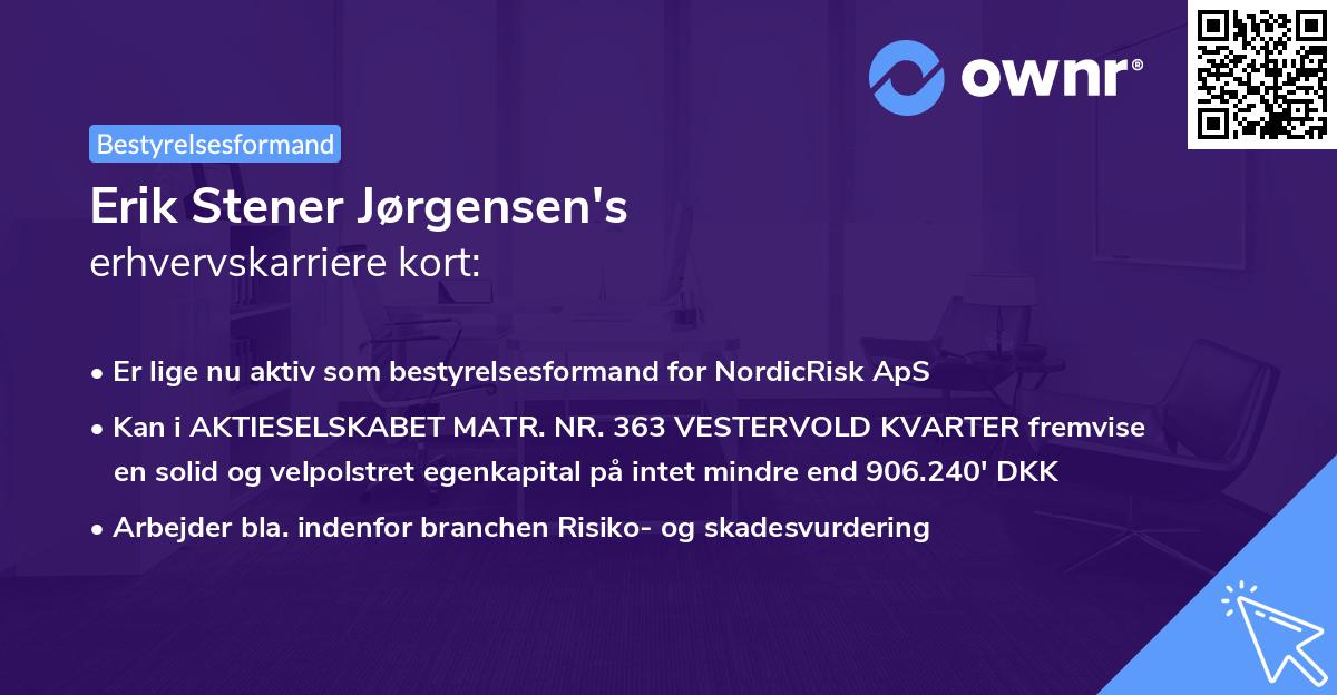 Erik Stener Jørgensen's erhvervskarriere kort