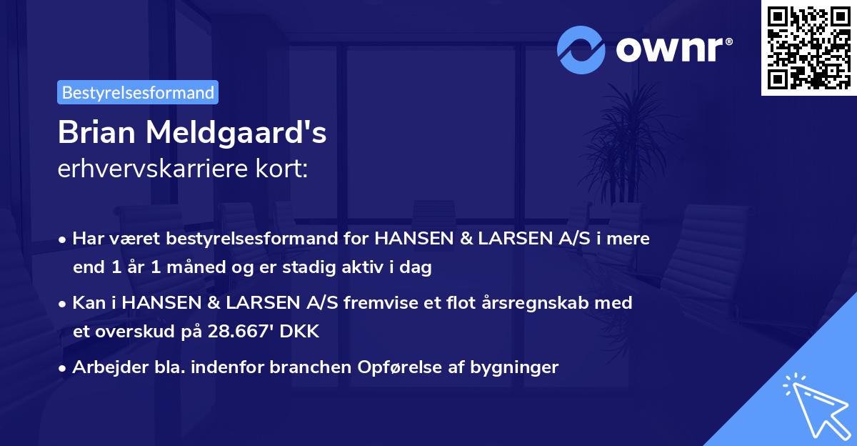 Brian Meldgaard's erhvervskarriere kort