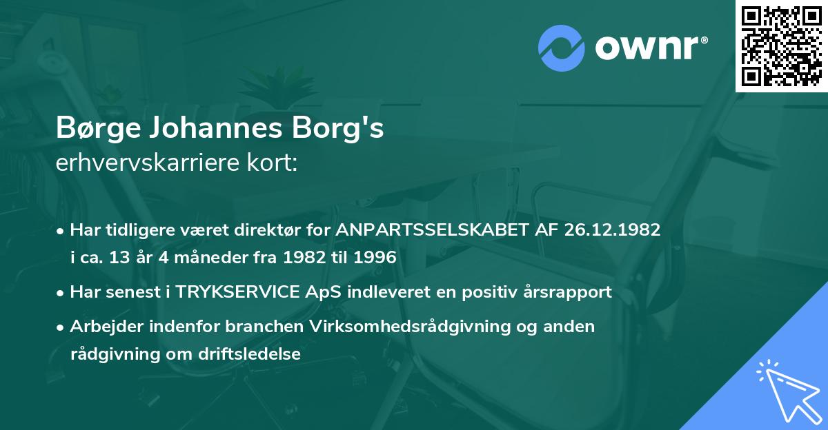 Børge Johannes Borg's erhvervskarriere kort